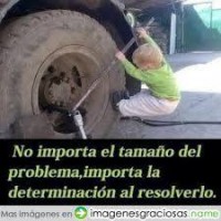 /album/fotogaleria-inicio1/a10850133-876784152352637-8156897307397865225-n-jpg/